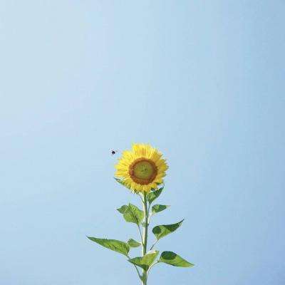 乐发彩票APP下载手机app下载