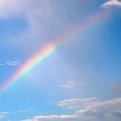 AOA体育登录入口手机app下载